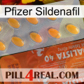 Pfizer Sildenafil 43